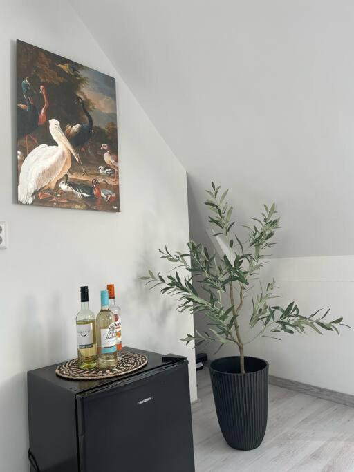 Appartement In Centrum Alkmaar Exteriör bild